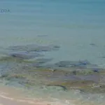 In La Marinedda Isola Rossa (Sassari)